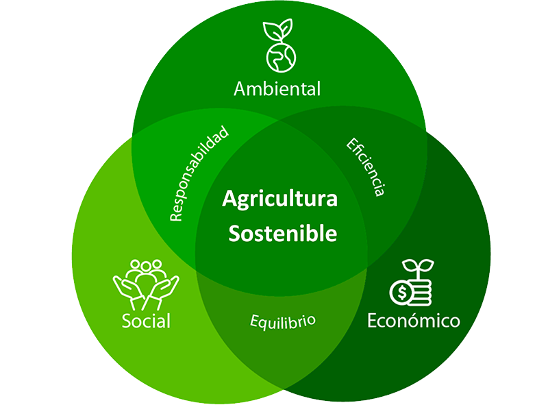 sustentablidad sqmc